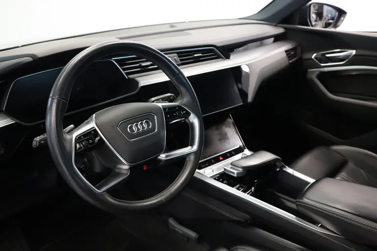 Audi e-tron e-tron 55 quattro advanced 95 kWh S-line Panoramadak Leder afbeelding 11