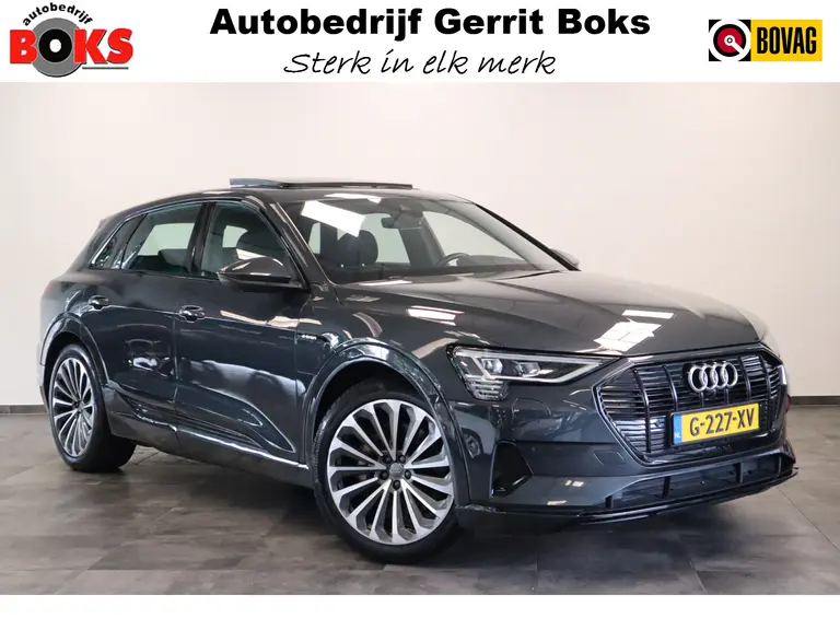 Audi e-tron e-tron 55 quattro advanced 95 kWh S-line Panoramadak Leder afbeelding 1